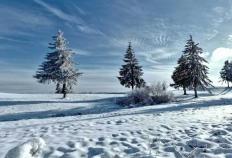 英(yīng)雄联盟全球(qiú)总决賽(sài)冠亚军决賽(sài)四川打响