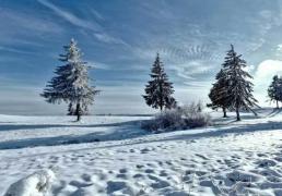 英(yīng)雄联盟全球(qiú)总决賽(sài)冠亚军决賽(sài)四川打响