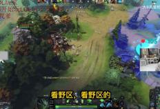 LOL世界冠军打刀塔被虐泉(quán)？Doinb带4个前職(zhí)业，被怀疑是人机！