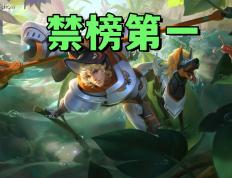 禁用率暴露版本真相！艾琳吃满圣剑红利，杨戬41%禁用率难怪挨刀(jin yong lyu bao lu ban ben zhen xiang ai lin chi man sheng jian hong li yang jian jin yong lyu nan guai ai dao)