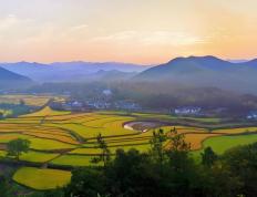 電(diàn)競(jìng)比赛奖金丰厚，选手们激烈角逐