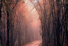 LOL：LCK赛区新赛季海归选手增(zēng)加 关键位置能否快速适应！