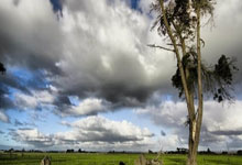 贝蒂斯-巴萨对决：战术博(bó)弈与关键细节解读