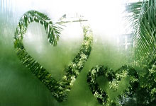 Bin自(zì)愧不如(rú)！LOL选手擅自(zì)离队，怒怼主教练：以为你是(shì)Faker？