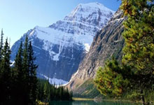 Bin自(zì)愧不如(rú)！LOL选手擅自(zì)离队，怒怼主教练：以为你是(shì)Faker？