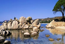 国際(jì)拳击联合会与奧(ào)运组委会合作(zuò)完善比赛槼(guī)则