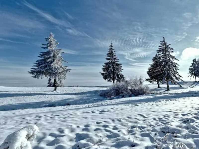 英(yīng)雄联盟全球(qiú)总决賽(sài)冠亚军决賽(sài)四川打响