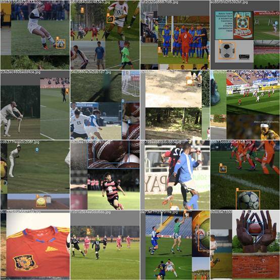 火星数据：YOLO算法在体育赛事数据分析中的应用